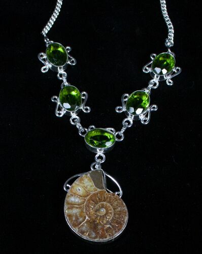 Fossil Ammonite Necklace #3368